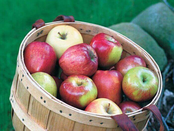 Organic Apples
